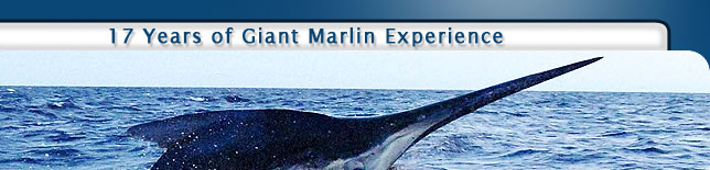 17 Years of Giant Marlin Experience