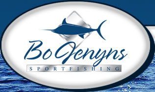 Bojenyns.com